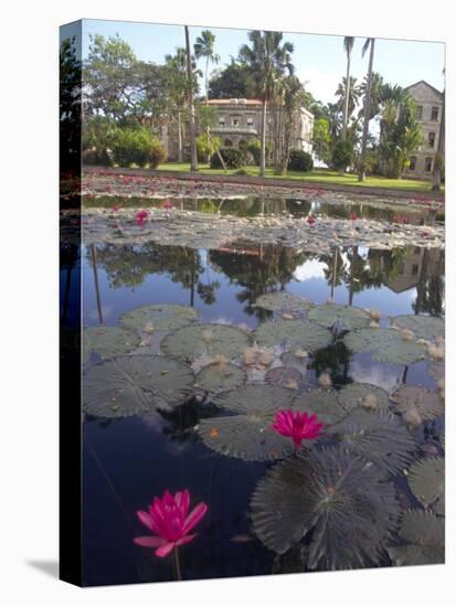 St. John Parish, Coddrington College, Barbados, Caribbean-Michele Westmorland-Premier Image Canvas