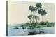 St. John's River, Florida, 1890-Winslow Homer-Premier Image Canvas