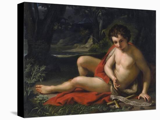 St. John the Baptist (Oil on Walnut Panel)-Anton Raphael Mengs-Premier Image Canvas