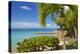 St. Johns, Antigua, Leeward Islands, West Indies, Caribbean, Central America-Frank Fell-Premier Image Canvas