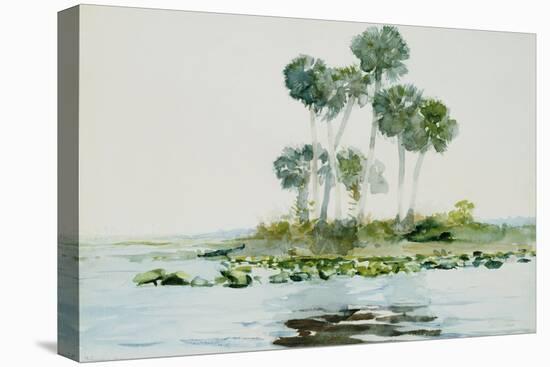 St. Johns River, Florida, 1890-Winslow Homer-Premier Image Canvas