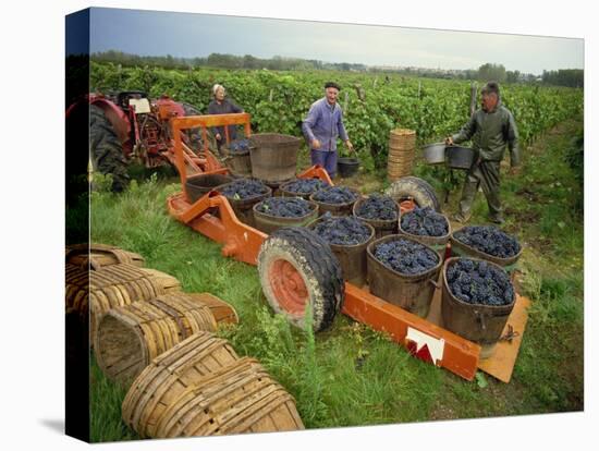 St. Joseph Vineyards, Ardeche, Rhone Alpes, France-Michael Busselle-Premier Image Canvas