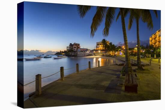 St. Lawrence Gap at dusk, Christ Church, Barbados, West Indies, Caribbean, Central America-Frank Fell-Premier Image Canvas
