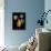 St. Lerain Pear-Mindy Sommers-Premier Image Canvas displayed on a wall