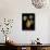 St. Lerain Pear-Mindy Sommers-Premier Image Canvas displayed on a wall