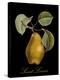 St. Lerain Pear-Mindy Sommers-Premier Image Canvas