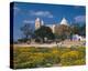 St. Louis Cathedral in Carthage, Tunis, Tunisia-null-Stretched Canvas