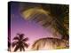 St Lucia, Sunset Through Palms on the Island of St Lucia, Caribbean-Paul Harris-Premier Image Canvas