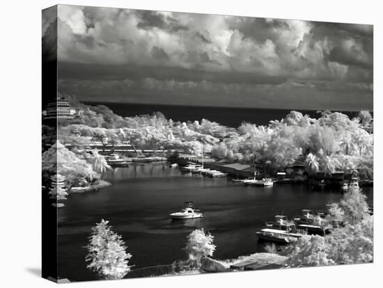 St. Lucia-J.D. Mcfarlan-Premier Image Canvas