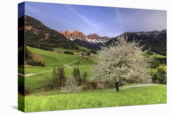 St. Magdalena and the Odle Group. Funes Valley South Tyrol Dolomites Italy Europe-ClickAlps-Premier Image Canvas