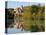 St. Mang Monastery and Basilica Reflected in the River Lech, Fussen, Bavaria (Bayern), Germany-Gary Cook-Premier Image Canvas