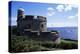 St. Mawes Castle, Built by Henry VIII, St. Mawes, Cornwall, England, United Kingdom-Jenny Pate-Premier Image Canvas