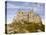 St Michael's Mount Castle Viewed Close Up, Cornwall, England, UK, Europe-Ian Egner-Premier Image Canvas