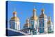 St. Nicholas Naval Cathedral, Saint-Petersburg, Russia-Eugene Sergeev-Premier Image Canvas