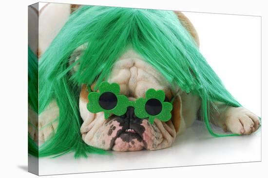 St Patricks Day Dog-Willee Cole-Premier Image Canvas