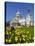 St. Paul's Cathedral with Daffodils, London, England, United Kingdom, Europe-Stuart Black-Premier Image Canvas