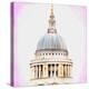 St Pauls Cathedral Dome-Tosh-Stretched Canvas