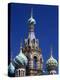 St Petersburg, the Church on Spilt Blood, Russia-Nick Laing-Premier Image Canvas