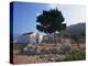 St. Stephanos Chapel, Tilos, Dodecanese, Greek Islands, Greece, Europe-Ken Gillham-Premier Image Canvas