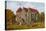 St Thomas' Church, Winchelsea-Alfred Robert Quinton-Premier Image Canvas