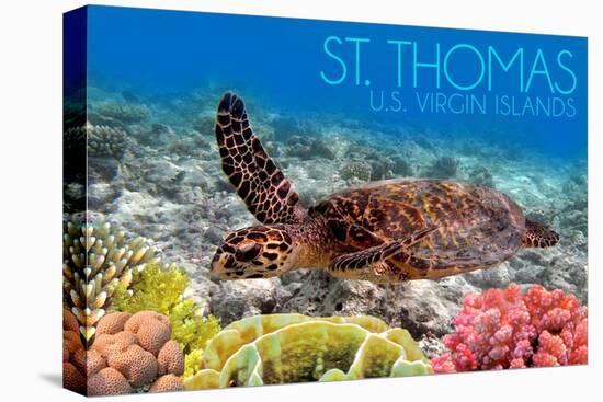 St. Thomas, U.S. Virgin Islands - Sea Turtle and Coral-Lantern Press-Stretched Canvas