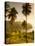 St. Vincent and the Grenadines, St. Vincent, Leeward Coast, Chateaubelair, Elevated Coastal View-Walter Bibikow-Premier Image Canvas