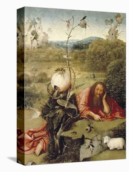 St-Hieronymus Bosch-Stretched Canvas