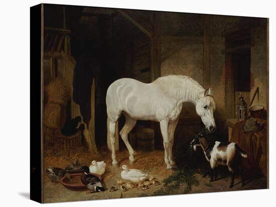 Stable Companions-John Frederick Herring I-Premier Image Canvas