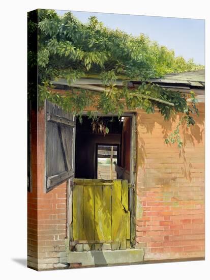 Stable Door-Timothy Easton-Premier Image Canvas