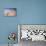 Stack of Prayer Stones on Altiplano, Potosi Department, Bolivia, South America-Ian Trower-Premier Image Canvas displayed on a wall