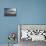 Stack of Prayer Stones on Isla del Sol (Island of the Sun), Lake Titicaca, Bolivia, South America-Ian Trower-Premier Image Canvas displayed on a wall