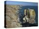 Stack Rocks, Pembrokeshire Coast National Park, Wales, United Kingdom, Europe-Peter Barritt-Premier Image Canvas
