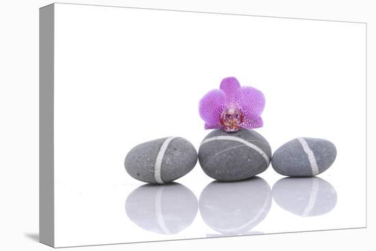 Stacked of Striped Stones and Pink Orchid-Apollofoto-Premier Image Canvas