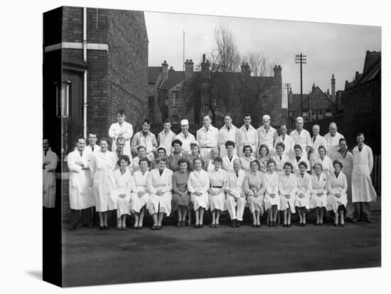 Staff from Schonhuts Butchery Factory, Rawmarsh, South Yorkshire, 1955-Michael Walters-Premier Image Canvas