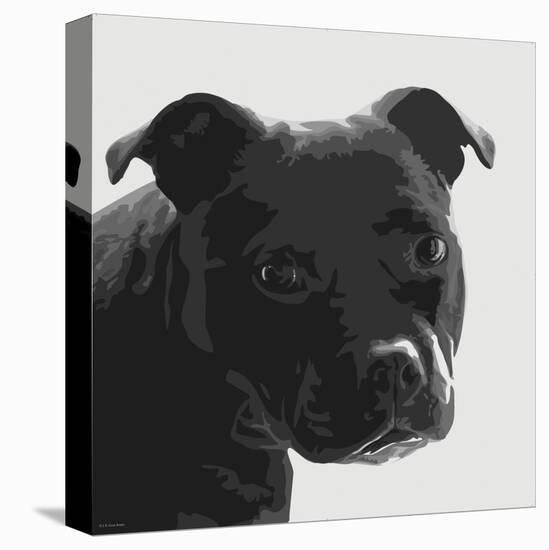 Staffordshire Bull-Emily Burrowes-Stretched Canvas