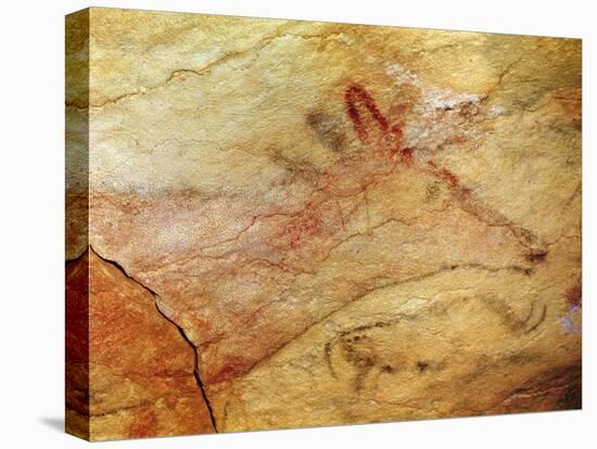 Stag from the Caves of Altamira, C.15,000 BC (Cave Painting) (Detail of 42412)-Prehistoric Prehistoric-Premier Image Canvas