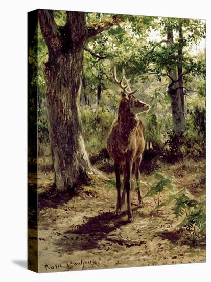 Stag on Alert in Wooded Clearing-Rosa Bonheur-Premier Image Canvas