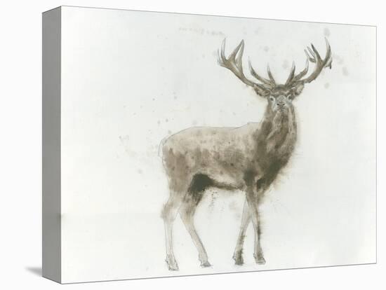 Stag-James Wiens-Stretched Canvas