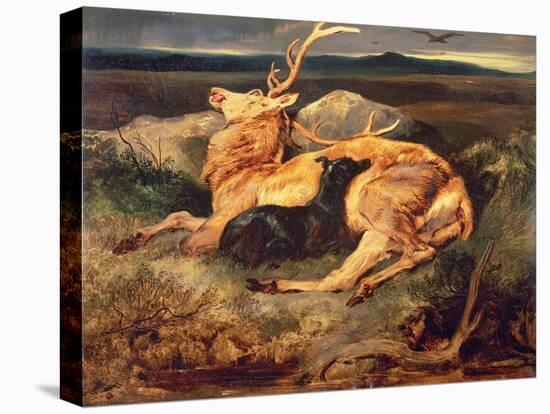 Stag-Edwin Henry Landseer-Premier Image Canvas