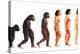 Stages In Female Human Evolution-David Gifford-Premier Image Canvas