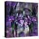 Stained Glass Orchids-Mindy Sommers-Premier Image Canvas