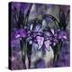 Stained Glass Orchids-Mindy Sommers-Premier Image Canvas