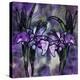 Stained Glass Orchids-Mindy Sommers-Premier Image Canvas