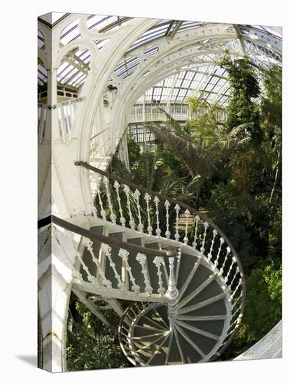 Staircase in Temperate House, Royal Botanic Gardens, UNESCO World Heritage Site, London, England-Peter Barritt-Premier Image Canvas