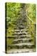 Stairs in Japanese Garden, Portland, Oregon, USA-Panoramic Images-Premier Image Canvas