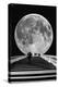 Stairs to the Moon-egd1-Premier Image Canvas