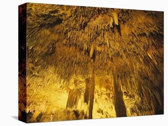 Stalactities on Ceiling of Damlatas Cavern-Murat Taner-Premier Image Canvas