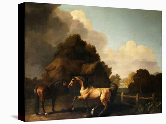 Stallion and Mare, traditionally called 'Jupiter and Mare'-George Stubbs-Premier Image Canvas