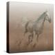 Stallion I on Leather-James Wiens-Stretched Canvas