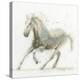 Stallion II-James Wiens-Stretched Canvas